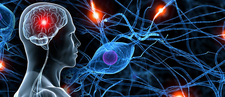 Orthopädische Gemeinschaftspraxis